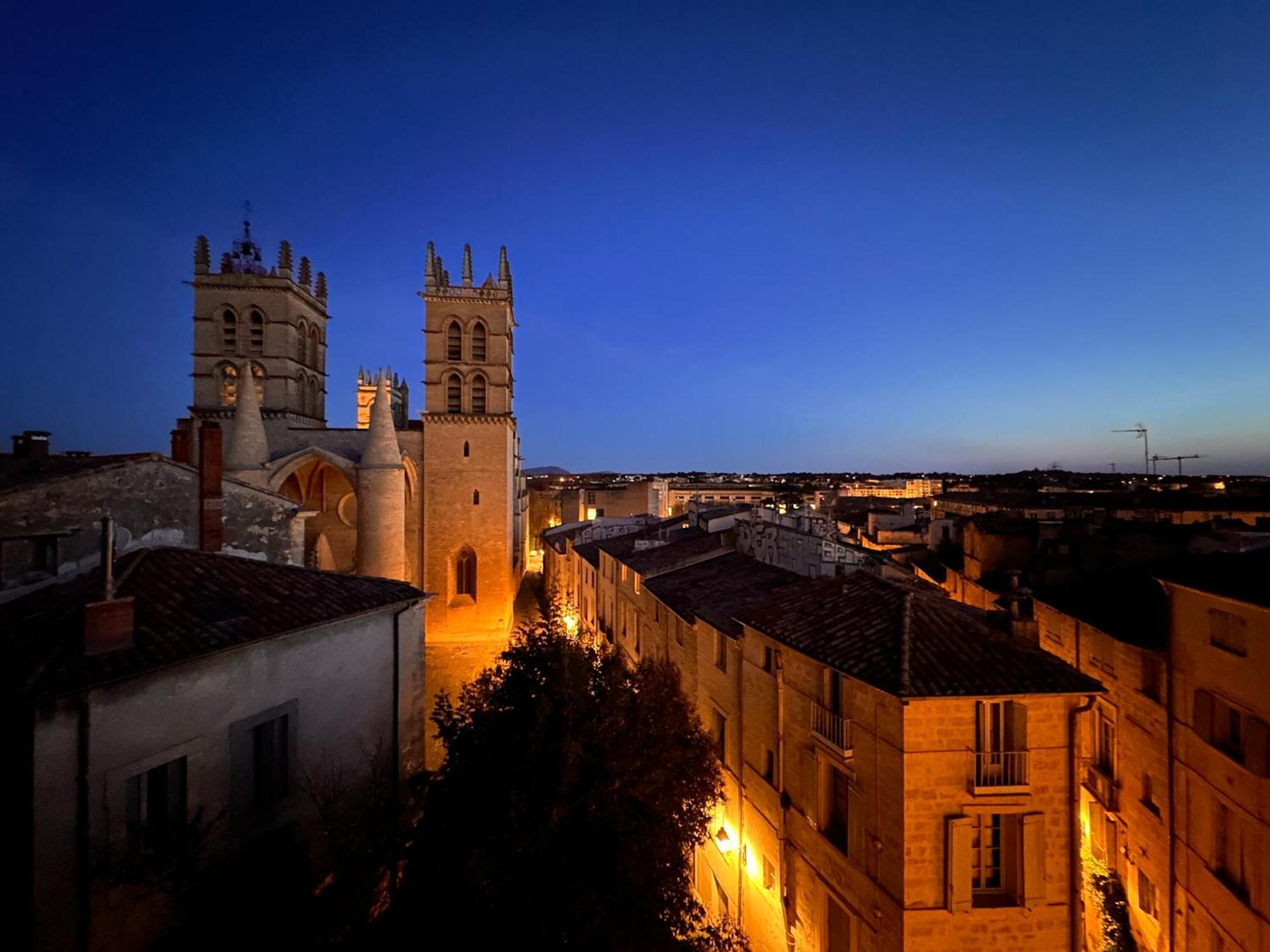 La Terrasse, Vue Sur Les Toits De Montpellier Διαμέρισμα Εξωτερικό φωτογραφία