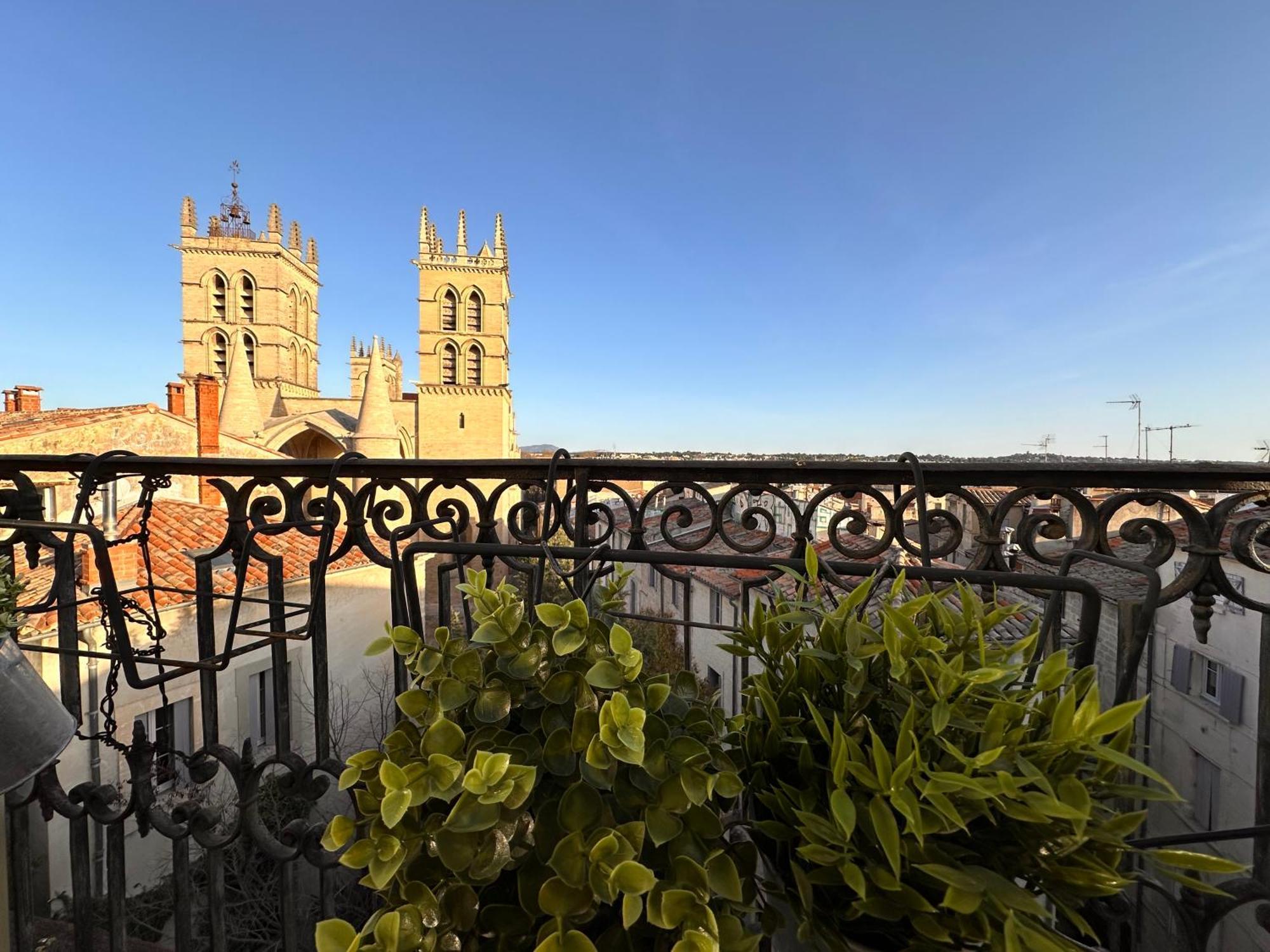 La Terrasse, Vue Sur Les Toits De Montpellier Διαμέρισμα Εξωτερικό φωτογραφία