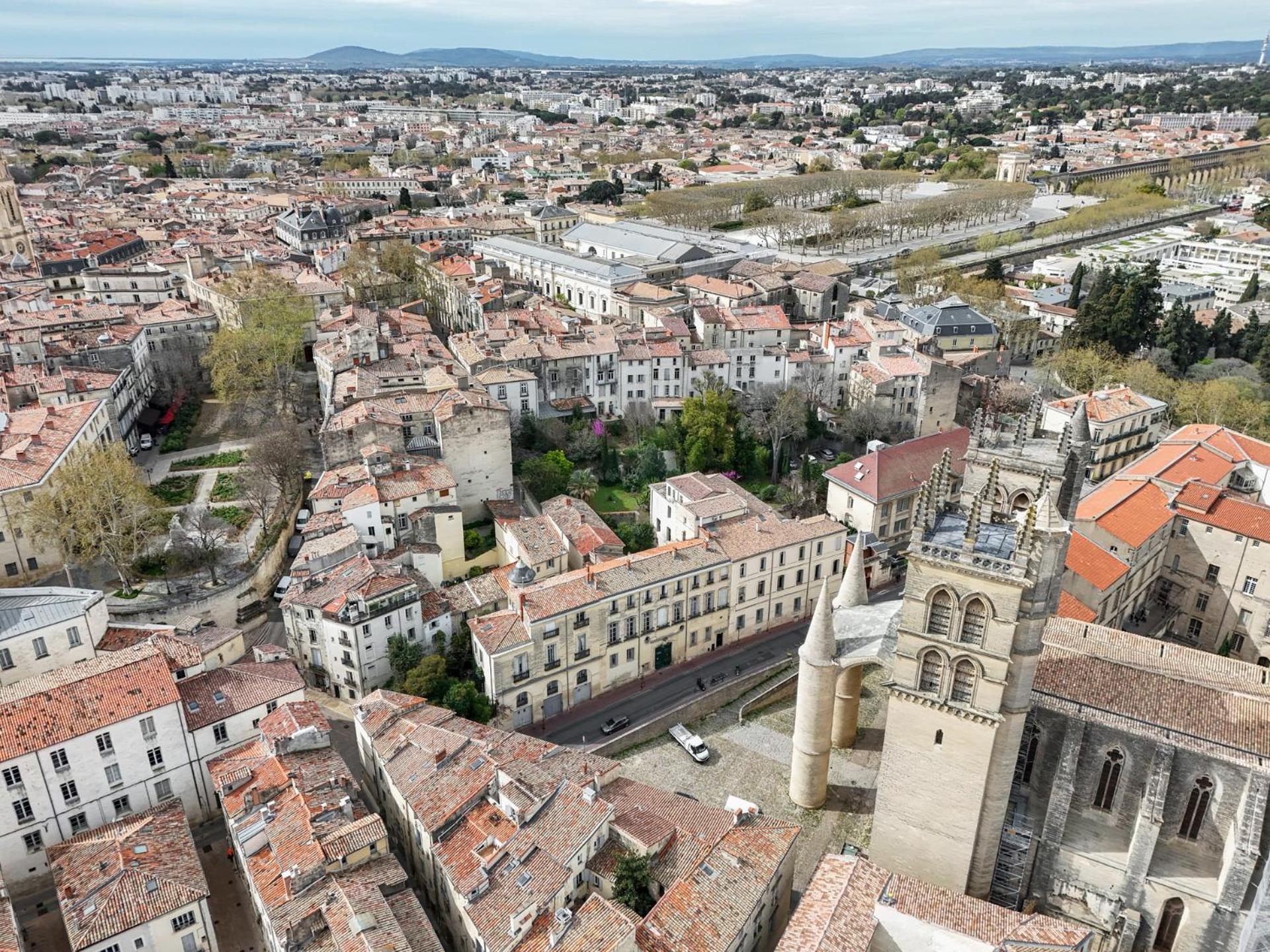 La Terrasse, Vue Sur Les Toits De Montpellier Διαμέρισμα Εξωτερικό φωτογραφία